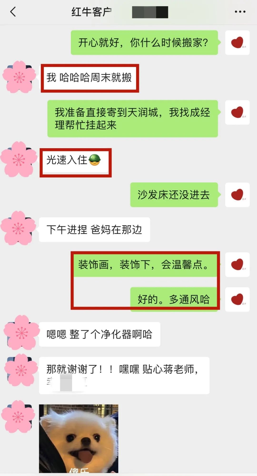 喜報｜金秋十月，收獲滿滿，紅牛裝飾再獲三面錦旗！05